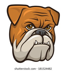 Vector illustration of an angry bulldog isolated on a white background