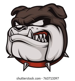 Vector illustration with angry bulldog. Logo with head of dog. Isolated on white background.