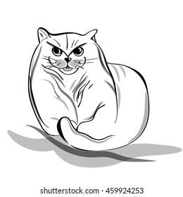 Vector Illustration Angry Cat Stock Vector (Royalty Free) 459924253 ...