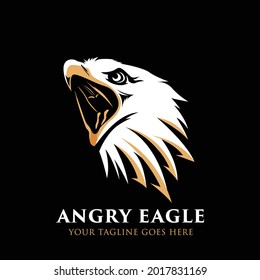 Vector illustration of Angry Eagle, with vintage ribbon. Perfect for shirt prints, clothes. Text, colors are on the separate layers.
