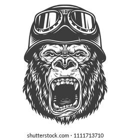 Vector illustration, angry gorilla head in the vintage motorcycle helmet on a white background