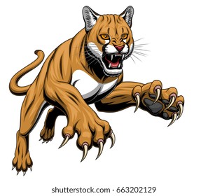 Vector illustration of angry leaping cougar isolated on the white background. 