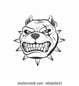 Vector illustration angry pitbull, on a white background