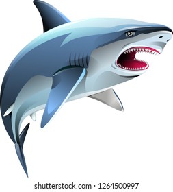 Vector illustration, angry shark