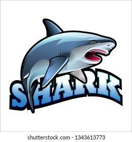 Vector illustration, angry shark