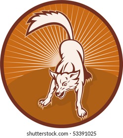 vector illustration of an angry wild dog or wolf barking about to attack with sunburst in the background