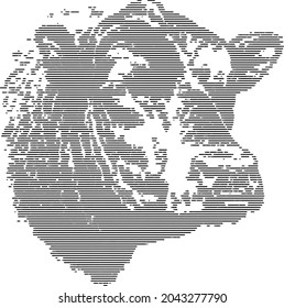 the vector illustration of the Angus bull