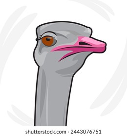 Vector illustration of animal aves ostrich head