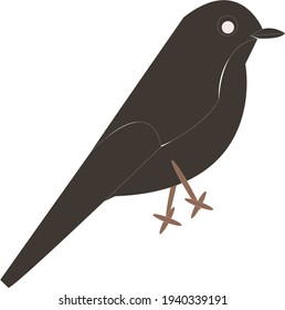 vector illustration of animal bird. Black in color. Can be used for print, banner, wallpaper, additional elements, etc.