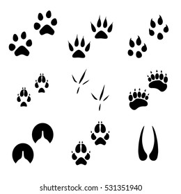 Animal Paws Hoofs Foot Trace Prints Stock Vector (Royalty Free ...