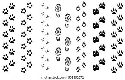 Vector illustration animal and birds footprints tracks icon set. Set foot prints wild animals, illustration of black silhouette.