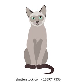Siamese Cat Royalty Free Stock SVG Vector and Clip Art
