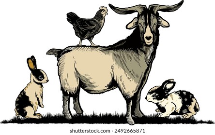 Vector illustration a animal farms clipart