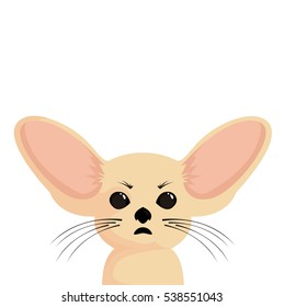 vector illustration animal Fenech