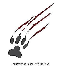 Vector illustration animal footprint and scratches on white background. Cat's scratched paw.