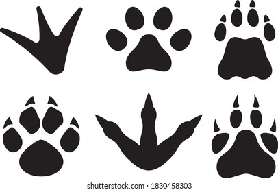 Vector illustration of the animal footprints