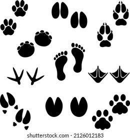 494 Elk footprint Images, Stock Photos & Vectors | Shutterstock