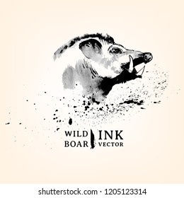 Vector illustration of animal head. Wild Pig in graphic style, hand drawing illustration sketch with ink splash. 