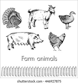 Vector illustration animal isolated on white background, big pig, goat, chicken, Goose, Turkey. Manual drawing, hatching. Rural fences