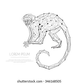Vector illustration of animal Monkey with text template. Vector element for your design. 