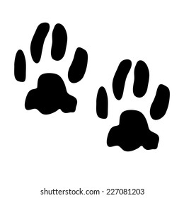 vector illustration. animal print