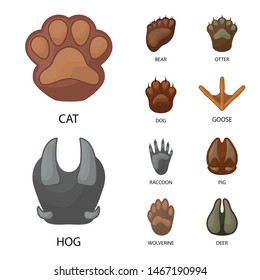Vector illustration of animal and print icon. Collection of animal and footprint stock symbol for web.
