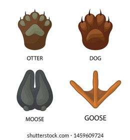 Vector illustration of animal and print logo. Collection of animal and footprint vector icon for stock.