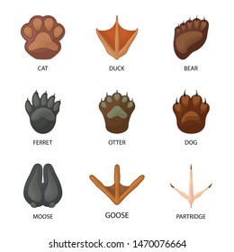 Vector illustration of animal and print logo. Collection of animal and footprint vector icon for stock.