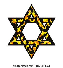 Vector illustration of animal print star of david isolated on white