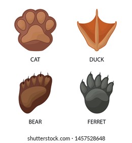 Vector illustration of animal and print symbol. Collection of animal and footprint vector icon for stock.