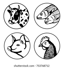 vector illustration of animal products