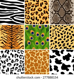animal skin patterns with names