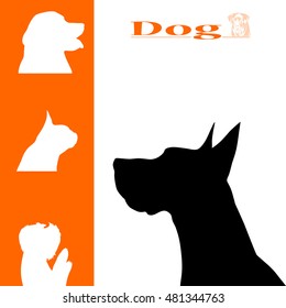 vector illustration animal set on white background