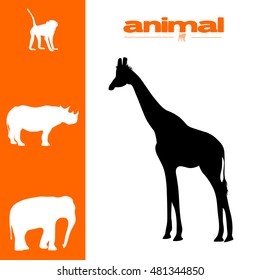 vector illustration animal set on white background