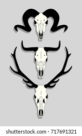 Vector illustration with animal skulls.