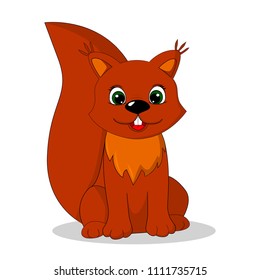 vector illustration of animal squirrel
