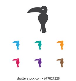 Vector Illustration Of Animal Symbol On Toucan Icon. Premium Quality Isolated Tropical Bird Element In Trendy Flat Style.