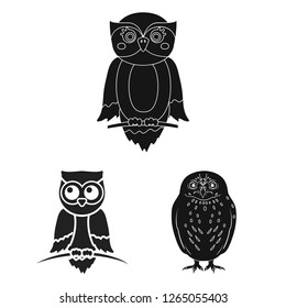 Vector illustration of animal and tattoo sign. Collection of animal and wild vector icon for stock.