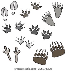 vector illustration animal tracks