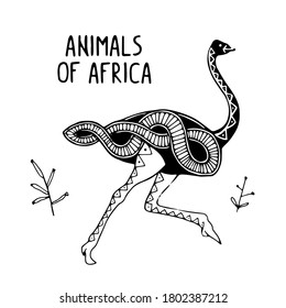 Vector illustration Animals of Africa with Etnic Ornament Set Ostrich