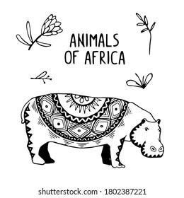 Vector illustration Animals of Africa with Etnic Ornament Set Hippopotamus