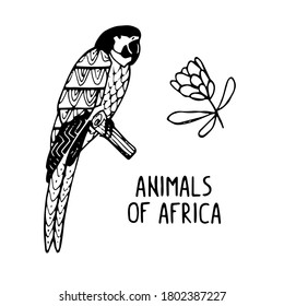 Vector illustration Animals of Africa with Etnic Ornament Set