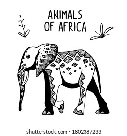 Vector illustration Animals of Africa with Etnic Ornament Set Elephant