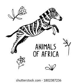 Vector illustration Animals of Africa with Etnic Ornament Set Zebra