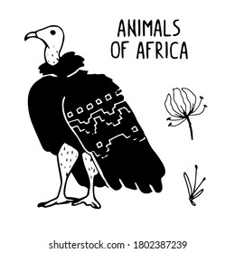 Vector illustration Animals of Africa with Etnic Ornament Set Griffon