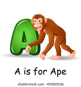 Vector illustration of  Animals alphabet: A is for Ape 