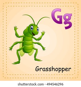 Vector illustration of   Animals alphabet: G is for Grasshopper 