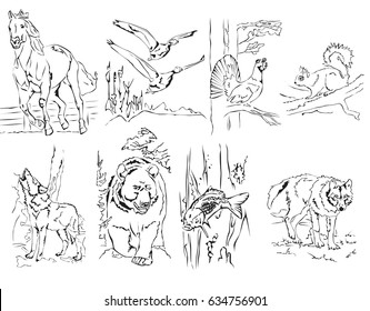 Vector illustration of animals, birds and fish