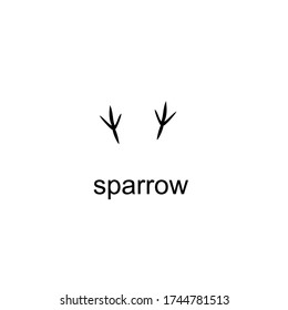 Vector illustration of animals' footprints on white background. Sparrow