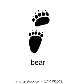 Vector illustration of animals' footprints on white background. Bear